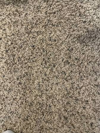 *** Brown Carpet *** 1