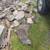 MISC Old Solid wood DOORS & New Closet Doors, Interior & Exterior 24 thumbnail