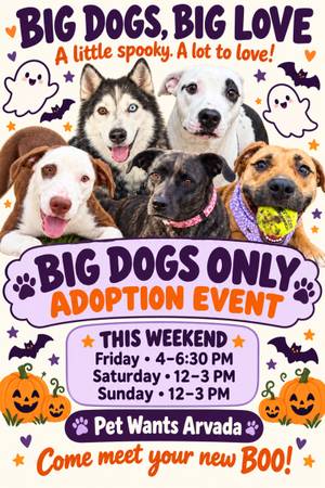 Arvada Adoptions 1