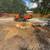 Stump Grinding 8 thumbnail