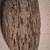 DINOSAUR BONE 5 thumbnail