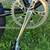 1986 Schwinn Predator qualifier 4 thumbnail