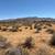 5 Acre Parcel *With Frontage*Joshua Road 11 thumbnail