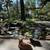 Koi Ponds, Waterfalls, Fountains, Turf, Pavers, Landscape 2 thumbnail