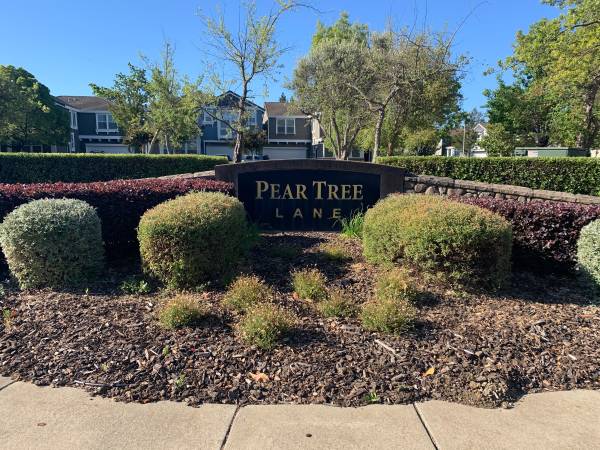 Pear Tree Lane Community-Wide Garage Sale this Saturday 9/27 1