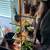 Plant stand 1 thumbnail