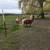 Alpaca(s) 2 thumbnail
