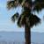 Buildable lot in San Jose! 13,000 sq ft El Grande Dr, Power, Water,Gas 18 thumbnail