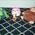 4 STUFFED ANIMAL LOT Bear Chair Animal Adventure Plush Dinosaur Toy 1 thumbnail