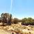 Terreno fsbo land 2.5 acres land for sale Snowflake, Az 1 thumbnail