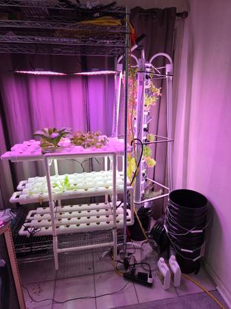 Complete functional indoor hydroponic and aeroponic starter setup 1