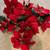Christmas Decor 100+ Piece Lot Red Stems Leafs Flowers Poinsettia Garland Glitte 9 thumbnail