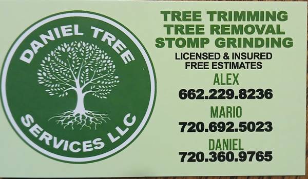 DANIEL TREE SERVECE  LLC 1