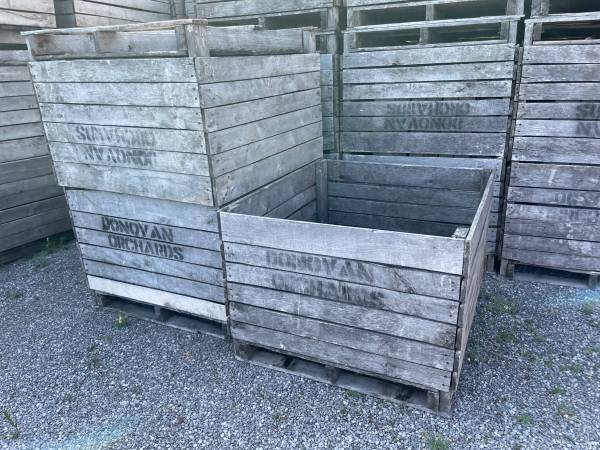 20 bu. hardwood apple bins - good condition 1