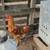 Olive Egger Roosters 2 thumbnail