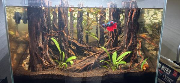 Fish tank (Parker)63679569835009121