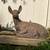Large concrete deer statue 3 thumbnail