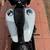 2001 Harley-Davidson Dyna Defender *House of Thunder H-D* 😎 5 thumbnail