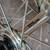 26" Ritchey Vantage Expert wheelset 3 thumbnail