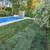 🌿 Professional Landscaping Tree Removal -Transform Your Yard Today! 11 thumbnail