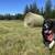 First Cut Hay 1 thumbnail