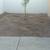 Gardening service, Palm Tree Service, Decorative rock, yard clean up 5 thumbnail