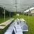 Chair & Table Rentals – DMV – Tents Available – Fast Delivery 4 thumbnail