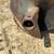Bobcat Brand 36” post hole Auger Bit (Bobcat Brand) 8 thumbnail