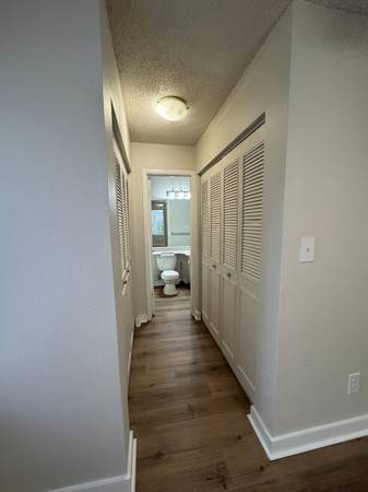 $1,310 / 1br - 1habitación/1baño Disponible!!!!!!!!!!! (Gainesville)63823033918209121