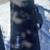 Cecilio MTT L Brass Trumpet by Cecilio with Carrying Case 5 thumbnail