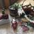 Christmas Decor Assortment 2 thumbnail