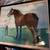1911 Largest horse in the world lithograph 4 thumbnail
