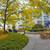 Top SPOT*770sf,Dwntwn,Modern1 BR,Hardwd,W/D,Terr,Bedford St. 11 thumbnail