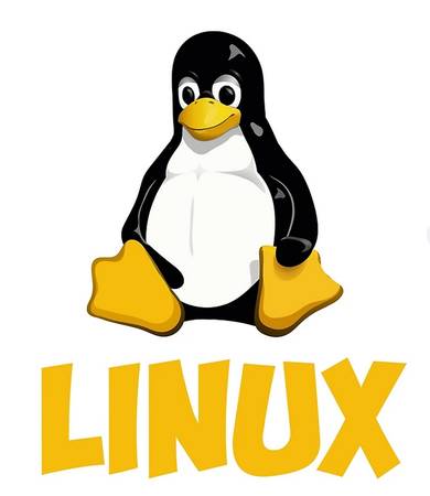 Linux Installed on Laptops and Computers 1