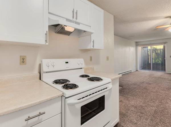 $1,250 / 1br - Fireplace, Fans, Large Ceilings + Lovely 1 Bedroom - Pet Friendly Unit (Portland)63831327442305121