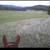 Horse Boarding at historic mountain Ranch 11 thumbnail