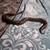 Rats and ball pythons 9 thumbnail