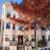 Stylish 2BR/2BA Top-Floor Condo in Bloomingdale 11 thumbnail
