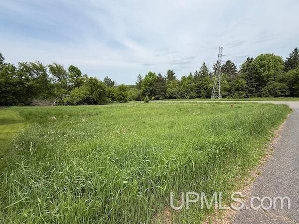 $15,000 0.33 Acres vacant lot MLS 50178507 (Florence T-WI)64151608854529120
