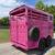 2026 DELCO 2 HORSE BUMPER PULL WITH SPARE PINK 12K-GVWR 3 thumbnail