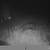 Hogs 23 thumbnail