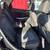 2019 Ford EcoSport SE Sport Utility 4D OVER 400 trucks in stock! 15 thumbnail