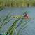 Fishing Piers, Seawalls, Retaining Walls, Docks 7 thumbnail