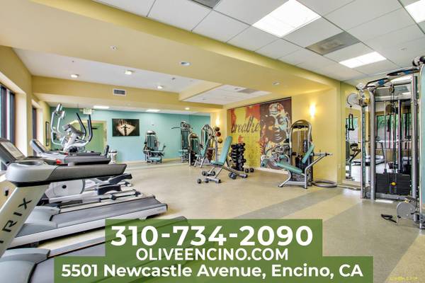$3,145 / 2br - 1317ft2 - Hardwood-style Flooring * Pet-Friendly * 2 Bedroom 2 Bath in Encino (Encino)63840114895235120
