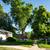 🏠 🏠 🏠 Room available in 3-BR Duplex - 10 mins' Walk to DU 21 thumbnail