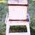 Antique Butcher Block & Base Cutting Block Wood Table 1 thumbnail