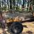 Wood Splitter 1 thumbnail
