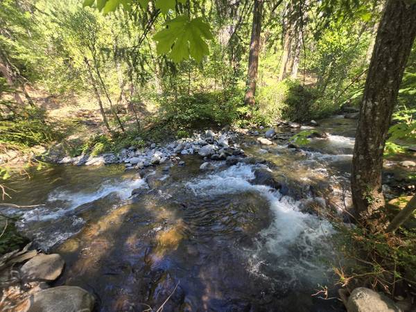 $98,000 10ac Shasta "Park Like" ON Montgomery Creek "river" offgridprvt terms (Eastern Shasta)63961338750082120