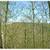 Newbury VT  10 +/- Acres Residential / Commercial 3 thumbnail