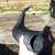 HOSE ridged black 3 1/2" Round Long Vent Air Water Route 1 thumbnail